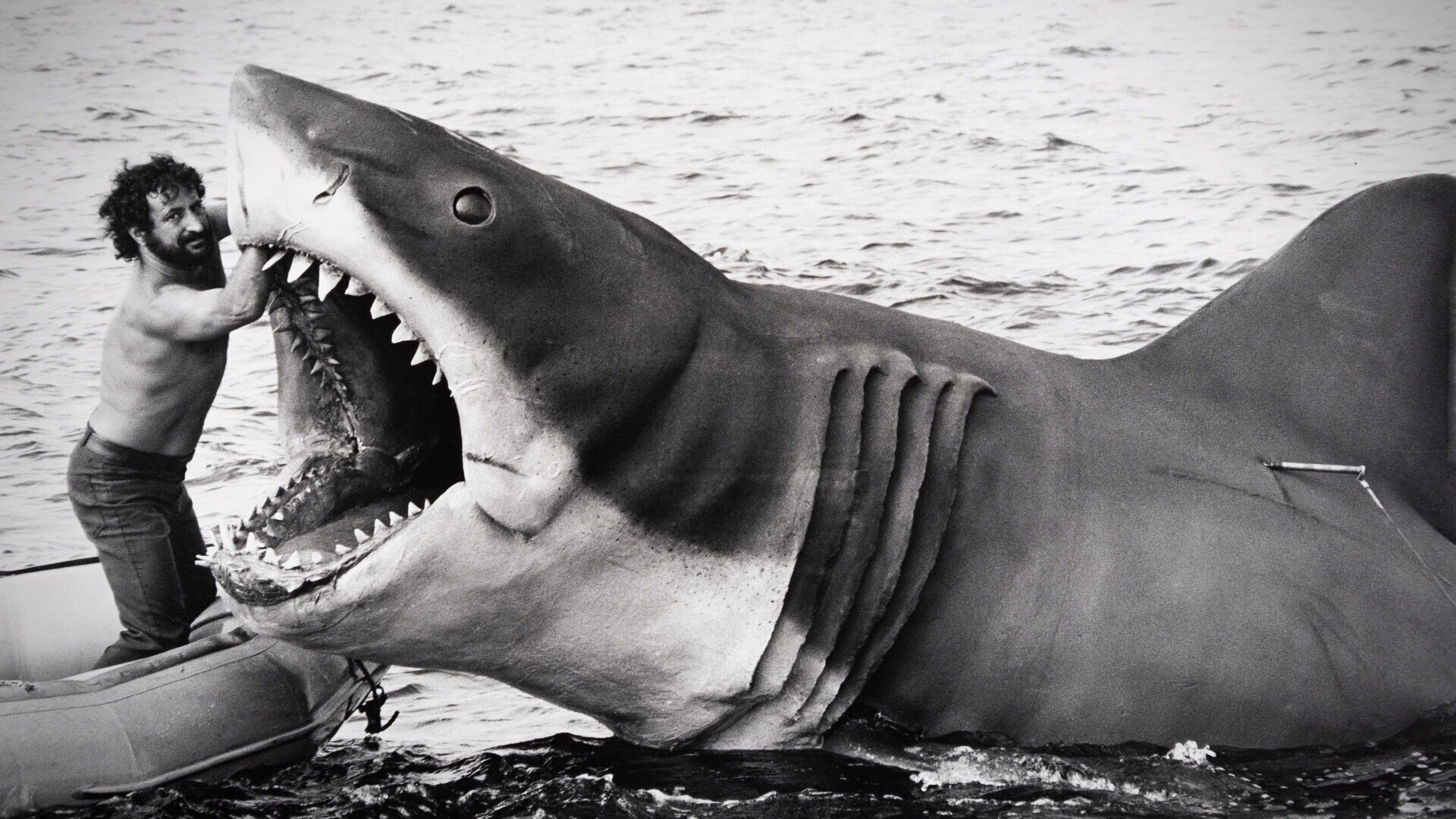 Jaws at 50